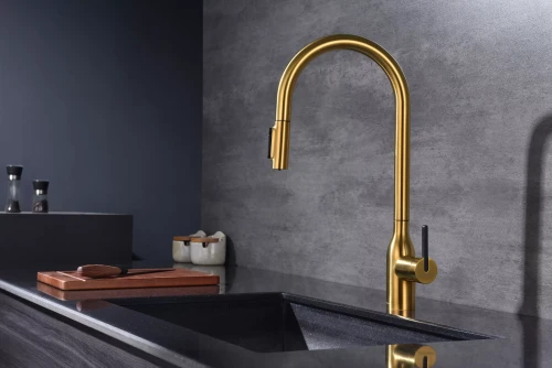 Смеситель UNIVERSAL с подключением к фильтру для воды с вытяжным шлангом Брашированное золото BG