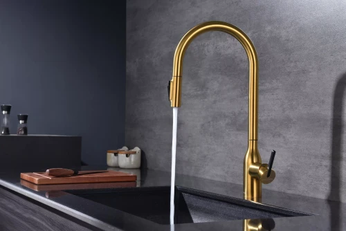 Смеситель UNIVERSAL с подключением к фильтру для воды с вытяжным шлангом Брашированное золото BG