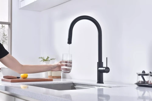 Смеситель Paulmark Galant с подключением к фильтру для воды однорычажный Антрацит