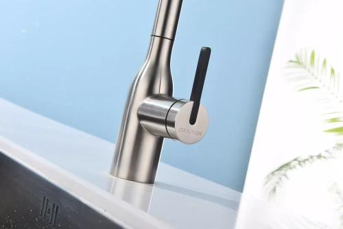 Смеситель с подключением к фильтру для воды с выдвижным изливом Paulmark Viper Брашированная сталь