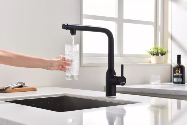 Смеситель с подключением к фильтру для воды с выдвижным изливом Paulmark Viper