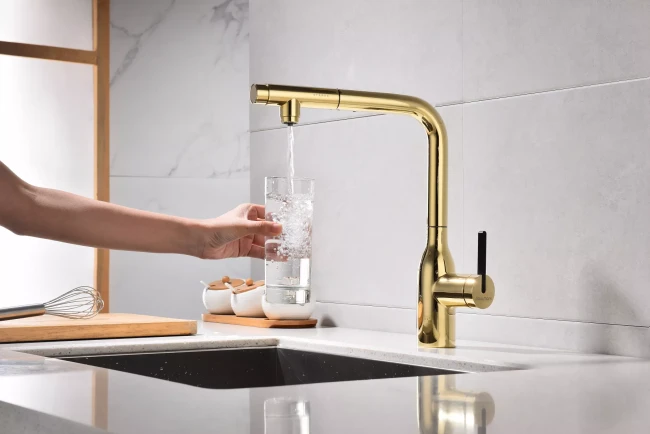 Смеситель с подключением к фильтру для воды с выдвижным изливом Paulmark Viper