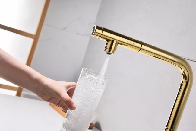 Смеситель с подключением к фильтру для воды с выдвижным изливом Paulmark Viper