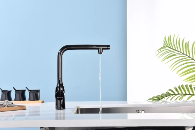 Смеситель с подключением к фильтру для воды с выдвижным изливом Paulmark Viper