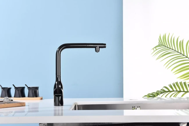 Смеситель с подключением к фильтру для воды с выдвижным изливом Paulmark Viper