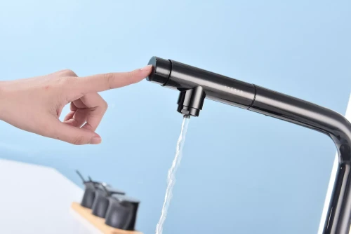 Смеситель с подключением к фильтру для воды с выдвижным изливом Paulmark Viper Глянцевый чёрный Gb