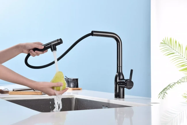 Смеситель с подключением к фильтру для воды с выдвижным изливом Paulmark Viper