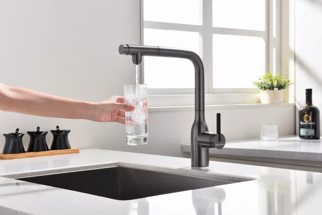 Смеситель с подключением к фильтру для воды с выдвижным изливом Paulmark Viper