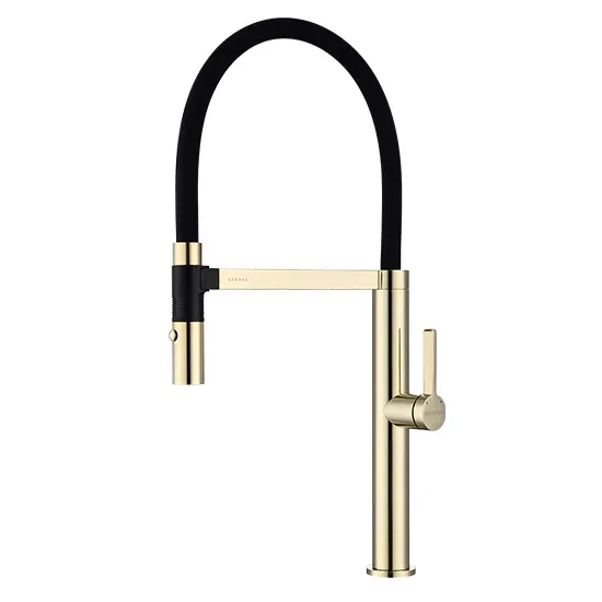 Смеситель Paulmark Leader с гибким изливом