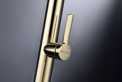 Смеситель Paulmark Leader с гибким изливом Золото G