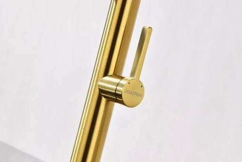 Смеситель Paulmark Leader с гибким изливом Брашированное золото BG