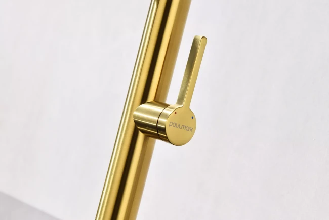 Смеситель Paulmark Leader с гибким изливом