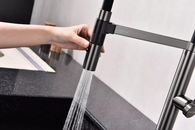 Смеситель Paulmark Leader с гибким изливом