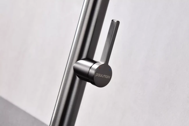 Смеситель Paulmark Leader с гибким изливом