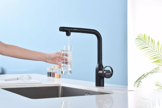 Смеситель с выдвижным изливом Paulmark Urban