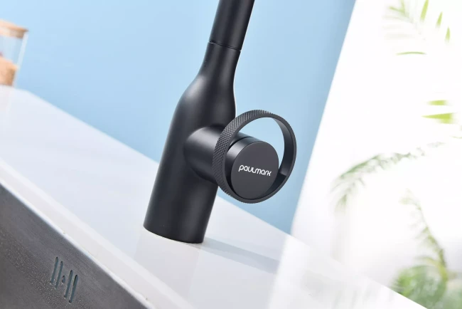 Смеситель с выдвижным изливом Paulmark Urban