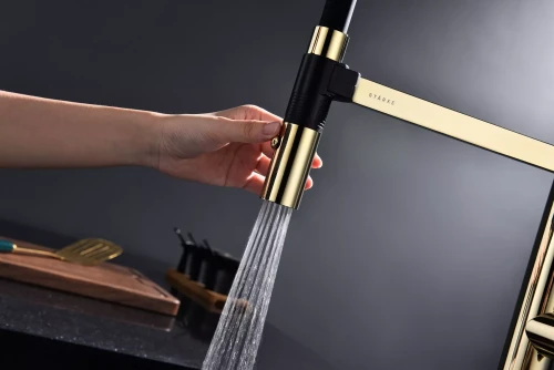 Смеситель Paulmark Leader с гибким изливом Золото G