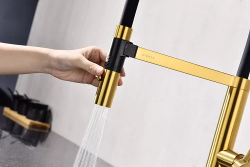 Смеситель Paulmark Leader с гибким изливом Брашированное золото BG