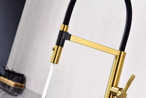 Смеситель Paulmark Leader с гибким изливом Брашированное золото BG