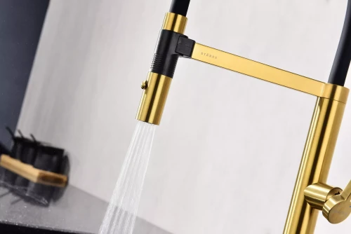 Смеситель Paulmark Leader с гибким изливом Брашированное золото BG