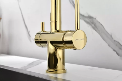 Смеситель SERPENTINE с подключением к фильтру для воды Золото G