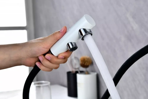 Смеситель SERPENTINE с подключением к фильтру для воды Белый матовый WH