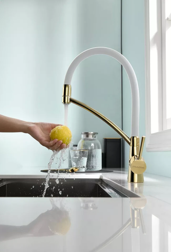 Смеситель Paulmark Siegen однорычажный с гибким шлангом