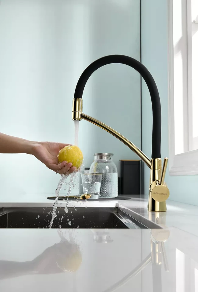 Смеситель Paulmark Siegen однорычажный с гибким шлангом