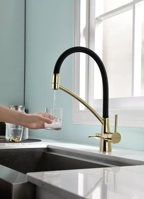 Смеситель Paulmark Siegen однорычажный с гибким шлангом Золото G