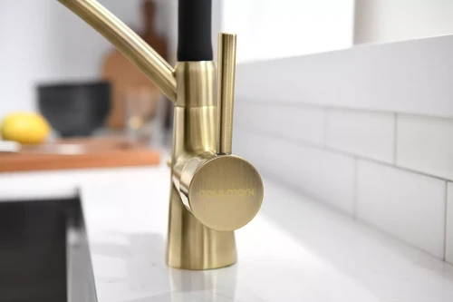 Смеситель Paulmark Siegen однорычажный с гибким шлангом Бронза BR