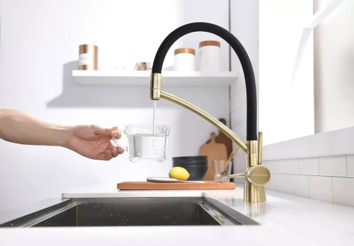 Смеситель Paulmark Siegen однорычажный с гибким шлангом Бронза BR