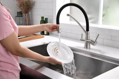 Смеситель Paulmark Siegen однорычажный с гибким шлангом Брашированная сталь