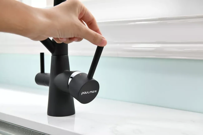 Смеситель Paulmark Siegen однорычажный с гибким шлангом