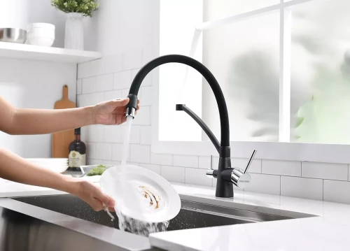 Смеситель Paulmark Siegen однорычажный с гибким шлангом черный