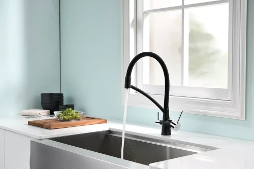 Смеситель Paulmark Siegen однорычажный с гибким шлангом Черный (308)