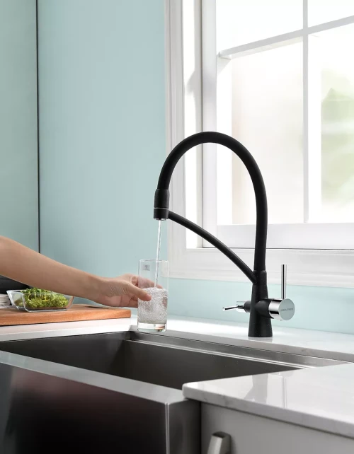 Смеситель Paulmark Siegen однорычажный с гибким шлангом Черный (308)