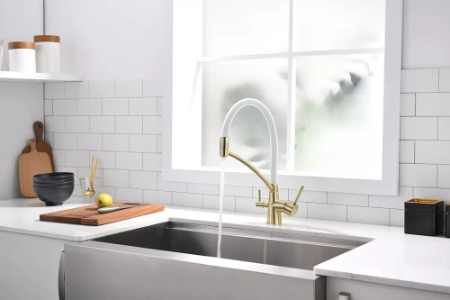 Смеситель Paulmark Siegen однорычажный с гибким шлангом Бронза / белый