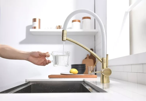 Смеситель Paulmark Siegen однорычажный с гибким шлангом Бронза / белый