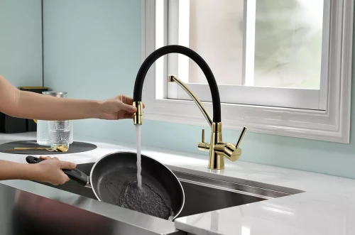 Смеситель Paulmark Siegen однорычажный с гибким шлангом Золото G