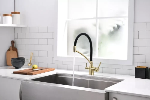 Смеситель Paulmark Siegen однорычажный с гибким шлангом Бронза BR