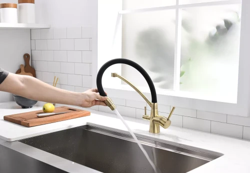 Смеситель Paulmark Siegen однорычажный с гибким шлангом Бронза BR