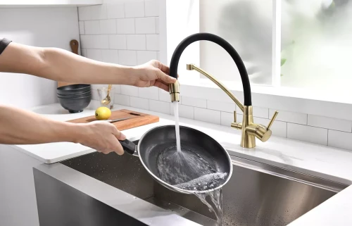 Смеситель Paulmark Siegen однорычажный с гибким шлангом Бронза BR