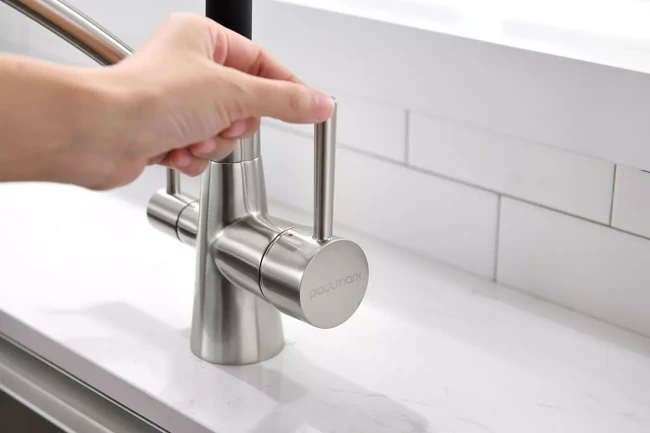 Смеситель Paulmark Siegen однорычажный с гибким шлангом