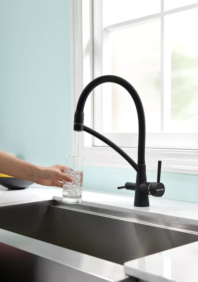 Смеситель Paulmark Siegen однорычажный с гибким шлангом