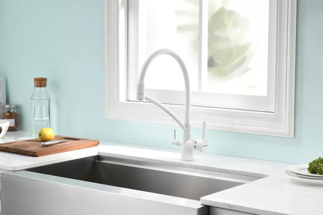 Смеситель Paulmark Siegen однорычажный с гибким шлангом