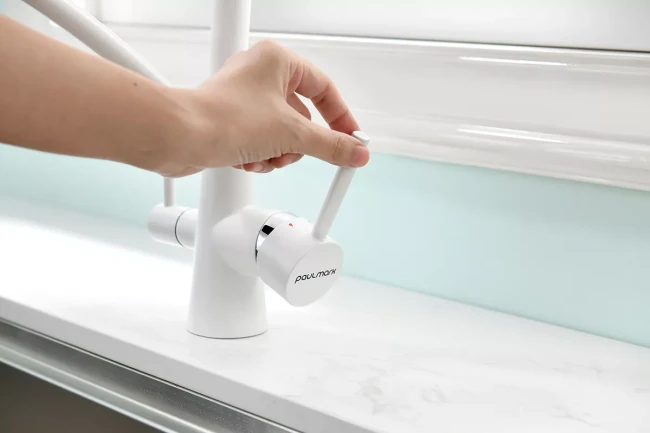 Смеситель Paulmark Siegen однорычажный с гибким шлангом