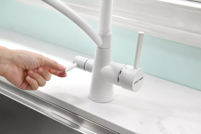 Смеситель Paulmark Siegen однорычажный с гибким шлангом