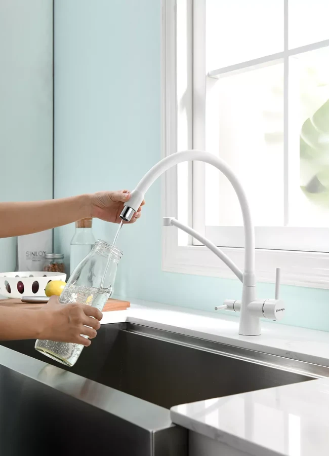 Смеситель Paulmark Siegen однорычажный с гибким шлангом