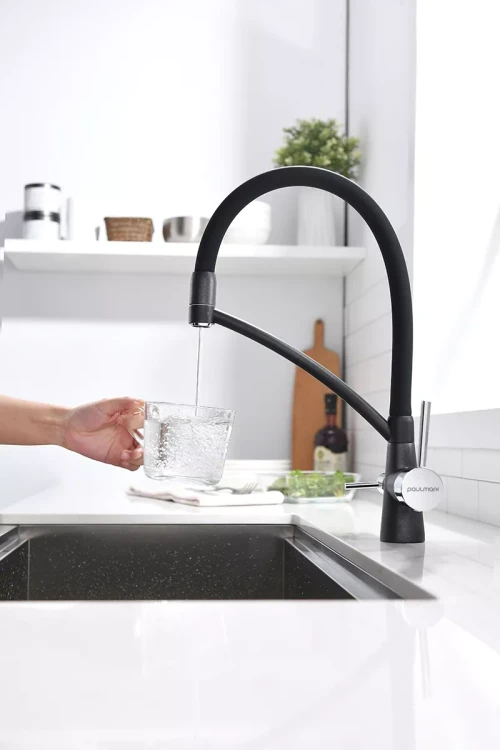 Смеситель Paulmark Siegen однорычажный с гибким шлангом черный