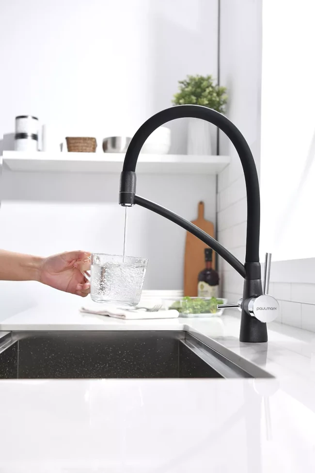 Смеситель Paulmark Siegen однорычажный с гибким шлангом